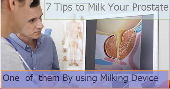 Prostate milking instructions